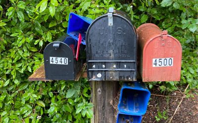 Three metal mailboxes on a wooden post in front of green bushes