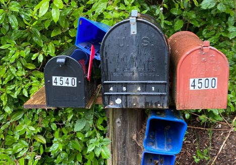 Three metal mailboxes on a wooden post in front of green bushes