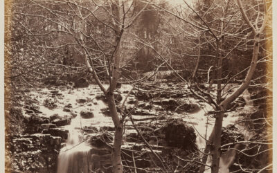 Horatio Ross. Landscape, River through trees. C. 1858. Clark Institute.