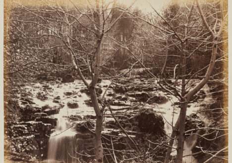 Horatio Ross. Landscape, River through trees. C. 1858. Clark Institute.