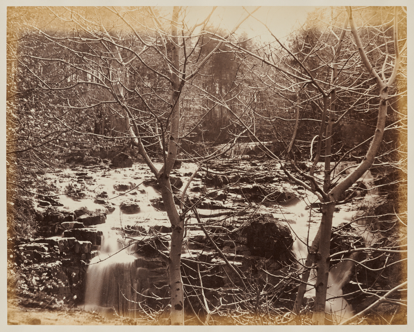 Horatio Ross. Landscape, River through trees. C. 1858. Clark Institute.